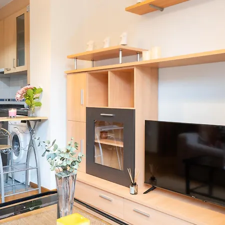 Cruces 3 Apartamento Gijón